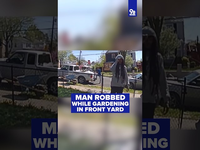 Man robbed while gardening in his front yard in DC