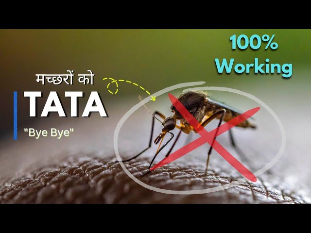 मच्छर मारने की Ninja Technique | Best Way to Control Mosquito 100% | Machhar Kaise Bhagaye
