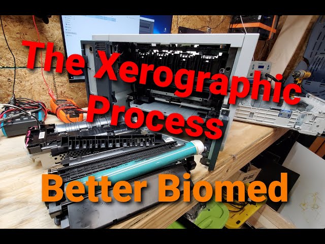 Xerographic Process