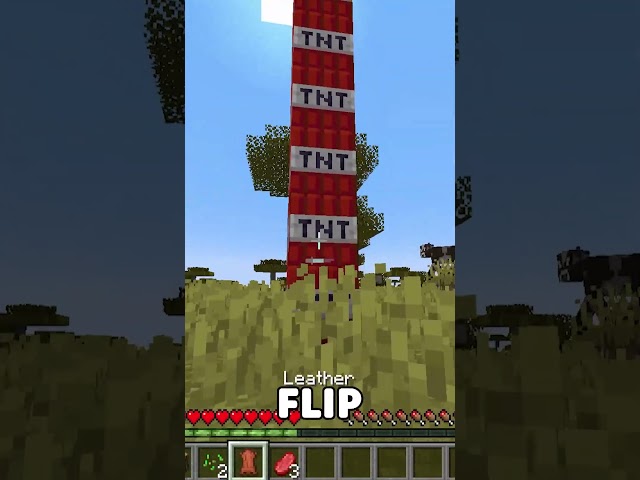 Minecraft, but TNT Doubles Every Time!