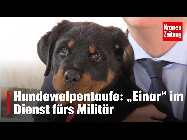 Hundewelpentaufe: „Einar“ im Dienst fürs Militär | krone.tv NEWS