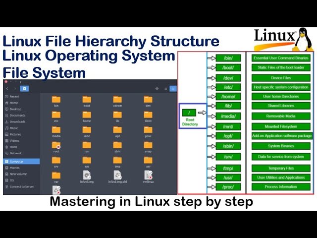Linux File System : / (Root), /bin, /boot, /dev, /etc, /home, /lib, /media, /mnt, /opt, /sbin, /srv