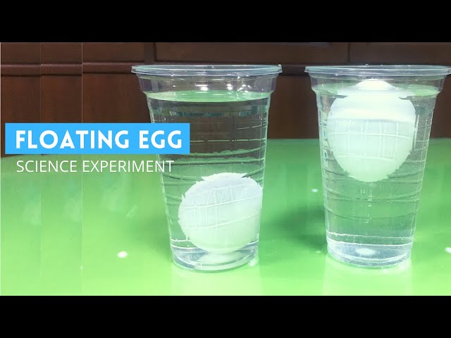 Floating Egg Experiment | Why Eggs Float in Salt Water | The Egg and Salt Experiment |