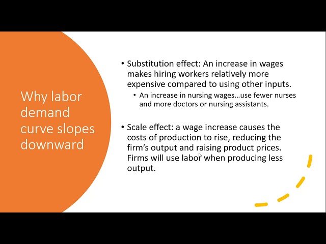 Labor Economics: Labor Demand and Supply I