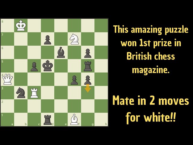 A beautiful mate in 2 puzzle