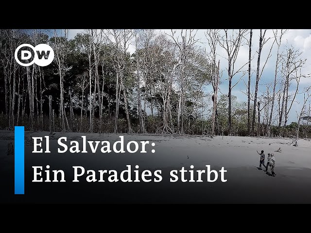 El Salvador: Kampf gegen den Klimawandel | Global Ideas