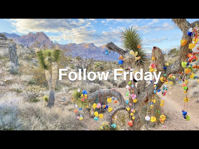Follow Friday - Las Vegas Cottonwood Trail System - 2020 Trek Fuel Ex5 - Gopro Hero 8 Black