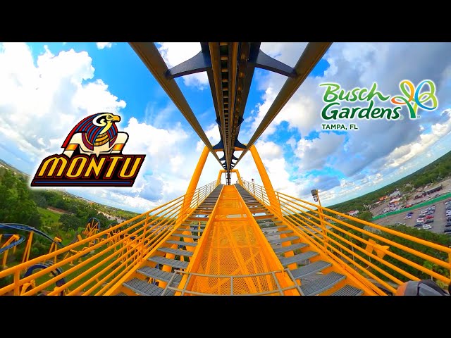 Montu - Inverted Roller Coaster | Front Seat 4K POV | Busch Gardens Tampa | 2023-07-07