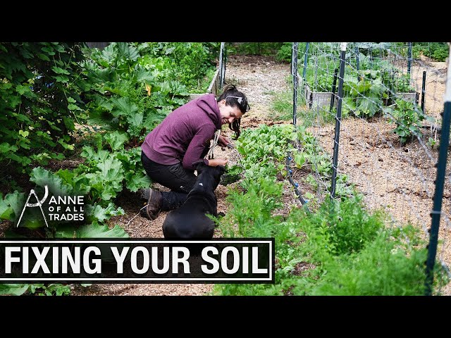 How to Fix Your Soil