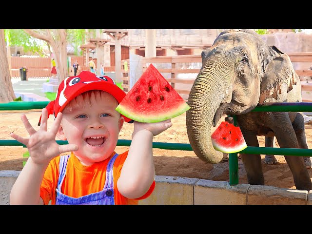 Oliver's Family Trips to the Zoo and other Fun Animal Videos