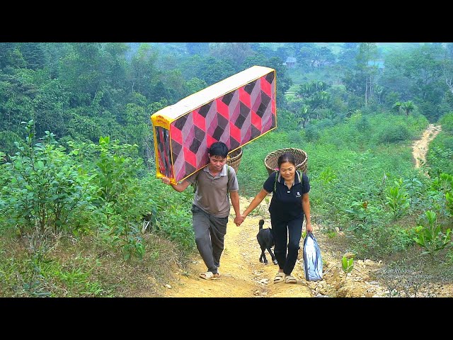 Journey together to the mountain to give gifts to a lonely old man - Harvest papaya and cassava