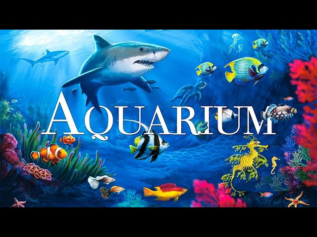 The Best 4K Aquarium for Relaxation, Sleep Relax Meditation Music, Relaxing Ocean Fish