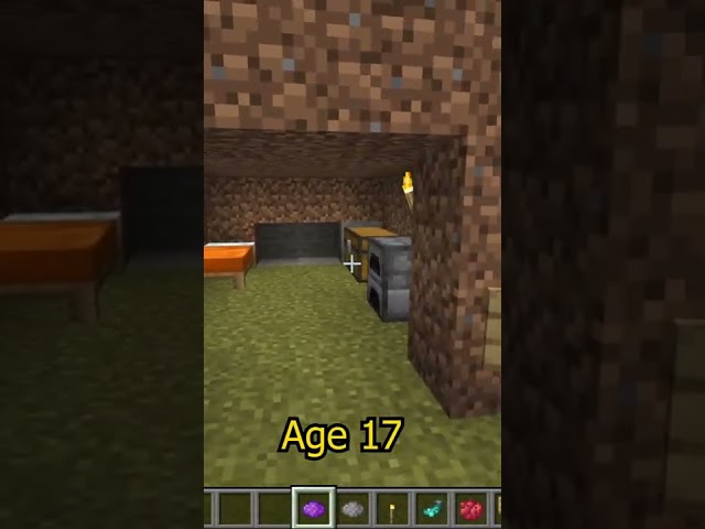 Minecraft Houses At Different Ages  #shorts