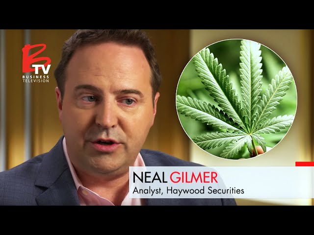 Research Analyst: Neal Gilmer's Advice on Investing in the Cannabis Market