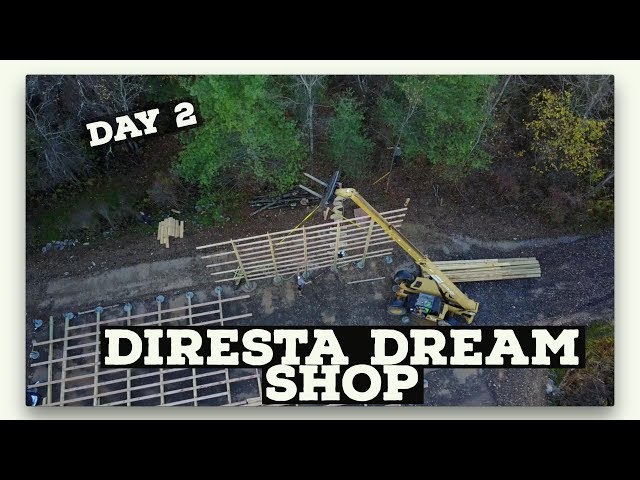 Day 2...Diresta Dream Shop