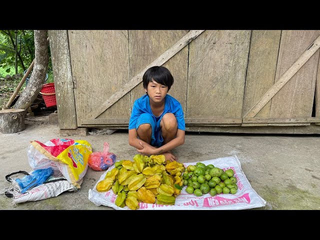 Orphan Boy - Harvest Sour Starfruit and Guava Go Sell Buy Rice, Take Care of the Farm
