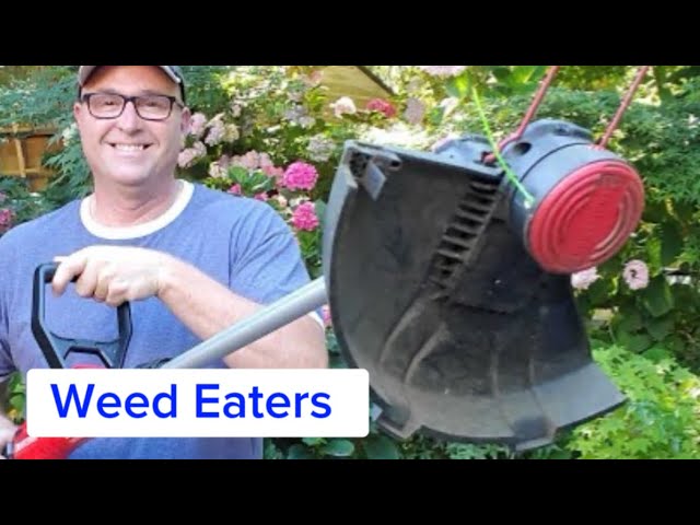 How to Use a Weed Eater