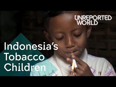 Indonesia's Tobacco Children | Unreported World