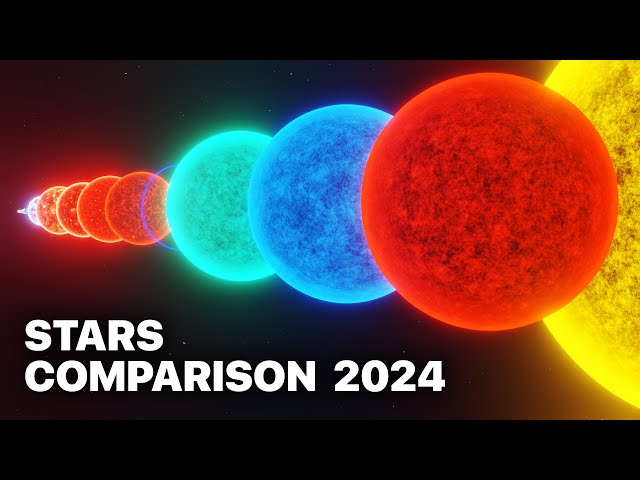 Detailed STAR Size Comparison - 2024