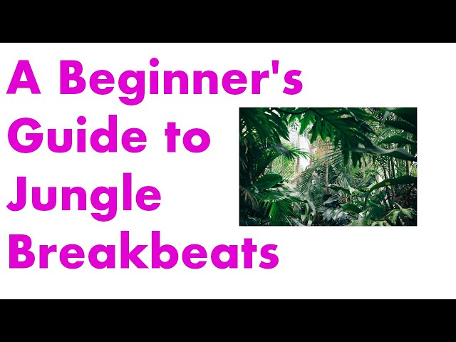A Beginner's Guide to Jungle Breakbeats