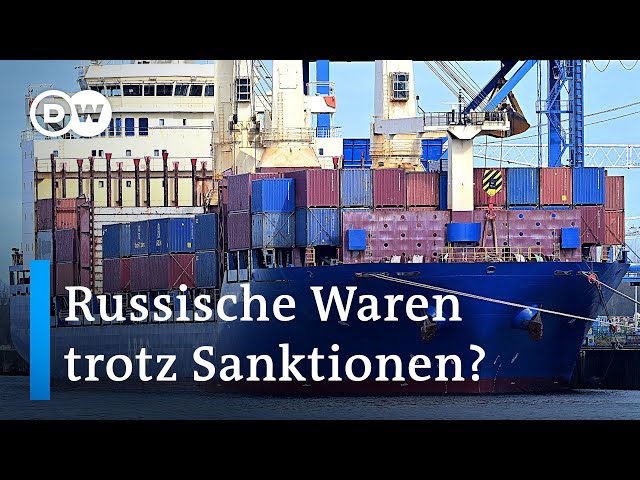 Handel mit Russland über Zentralasien: Wie kann die EU dagegen vorgehen?  | DW Nachrichten