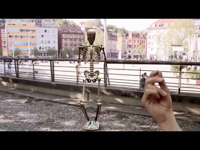 FWU - Das Skelett des Menschen - Trailer