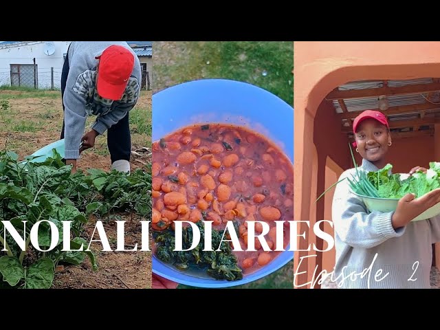 NOLALI DIARIES EP 2 | Call me Miss Gardener! | Family time | Organic Food | South African YouTuber
