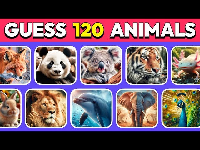 Guess 120 Animals in 3 Seconds! 🐵🦁🐨 Easy, Medium, Hard, Pro Levels Quiz