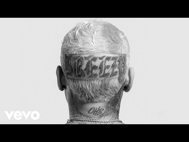 Chris Brown - Hmhmm (Audio)