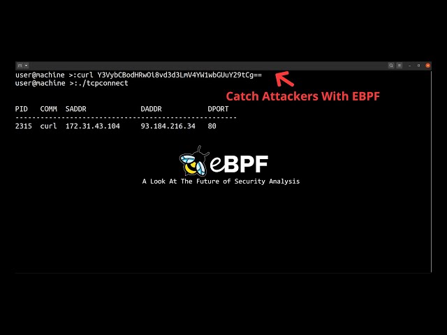 eBPF - The Future Of Isolated/Malware Analysis