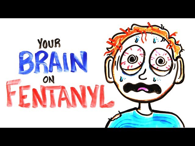 Your Brain On Fentanyl (FIXED)