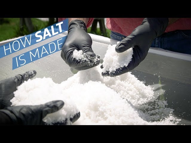 Where Does Salt Come From? — How to Make It
