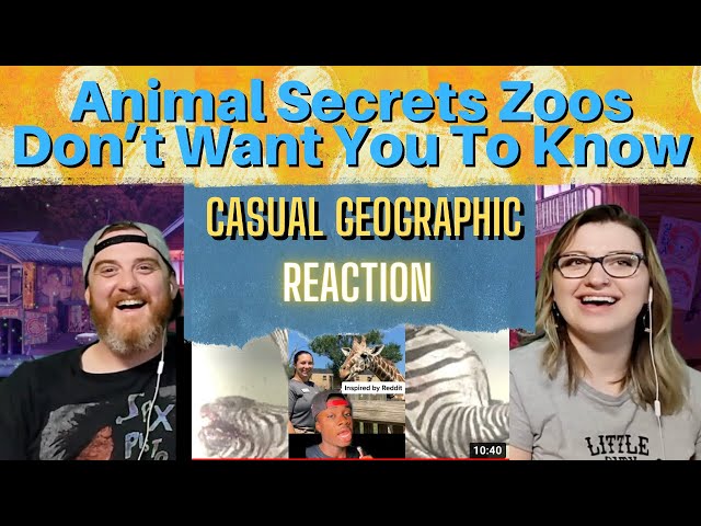 "Animal Secrets Zoos Don’t Want You To Know" @mndiaye_97 HatGuy & Nikki react!