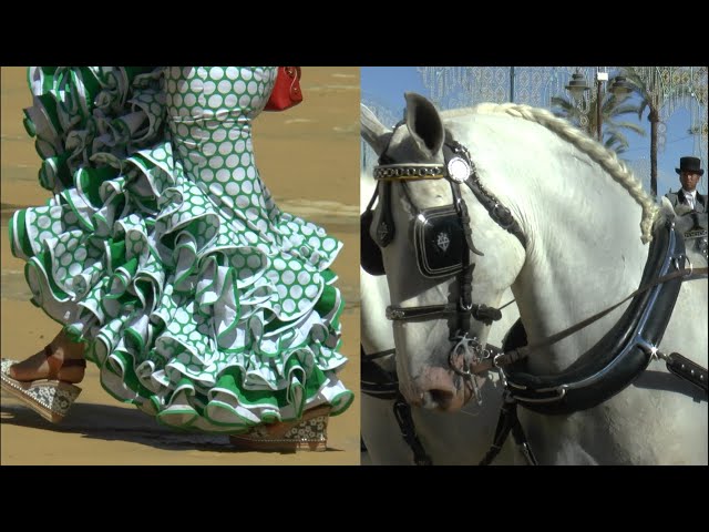 SPAIN Jerez - Feria del Caballo 2019. Andalusian Horses and exquisite outfits.