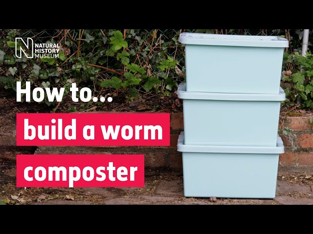 How to build a worm composter | Natural History Museum