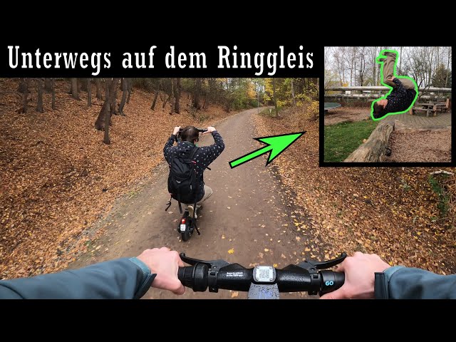 Mit dem E-Scooter das Ringgleisgebiet erkunden | Alternative Erlebnistour | Ringgleis Braunschweig