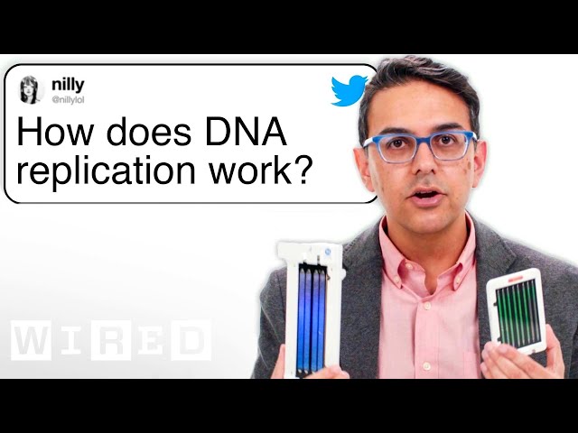 Human Geneticist Answers DNA Questions From Twitter | Tech Support | WIRED