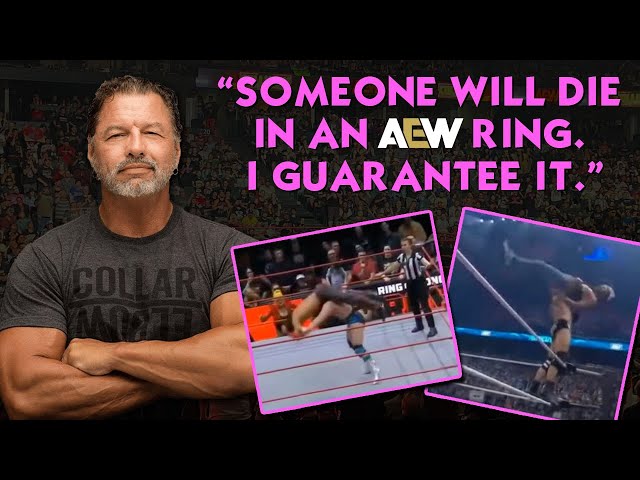 AL SNOW: "Someone Will Die In An AEW Ring, I Guarantee It!"