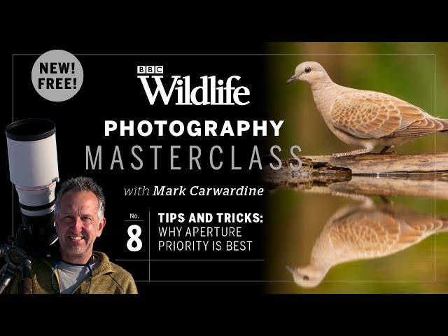 Episode Eight: Why aperture priority is best and how to do it