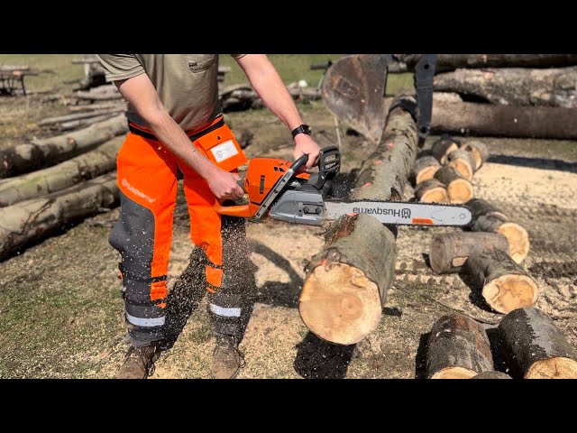 Stihl vs Husqvarna - Chainsaw Comparison #Firewood