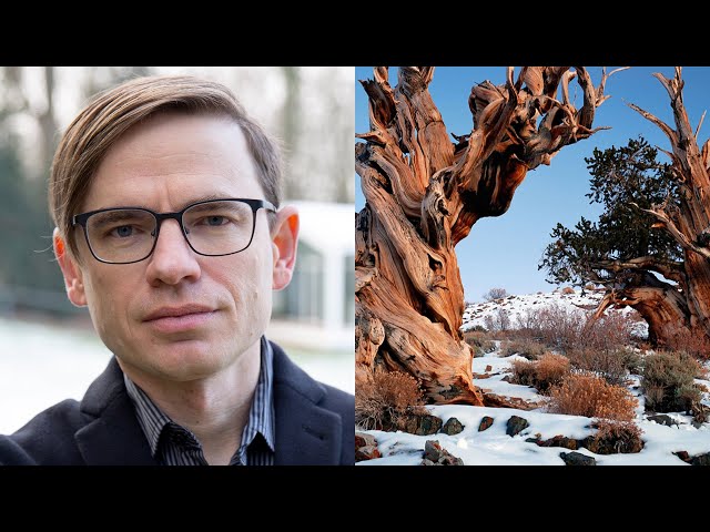Jared Farmer  |  Chronodiversity: Thinking about Time with Trees