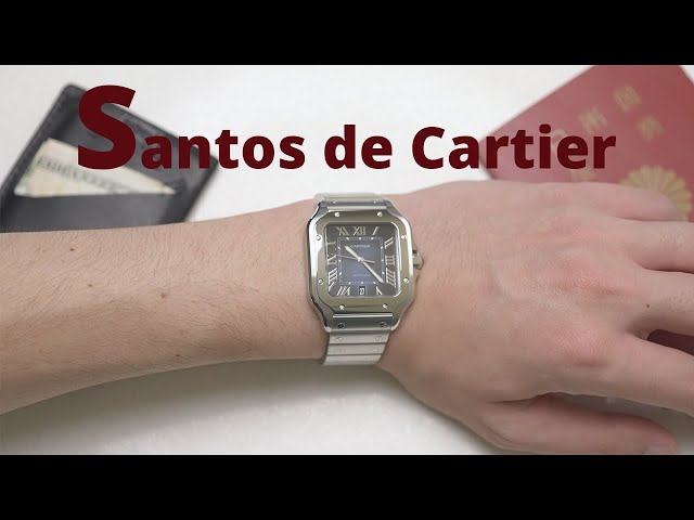 カルティエ・ドゥ・サントスという時計【Cartier de Santos WSSA0030 青文字盤長期使用レビュー】