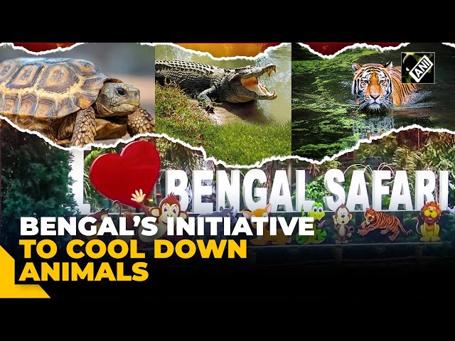 North Bengal Wild Animals Park takes measures to protect animals from heatwave