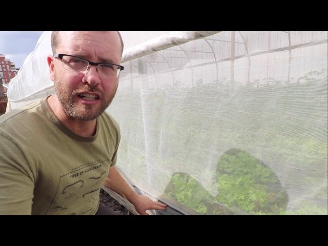 Bug-Proof Your Greenhouse: The Ultimate Solution!