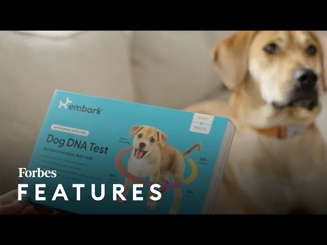 This Next Billion Dollar DNA Company Will Test Your Dog For A Healthier Life | Forbes
