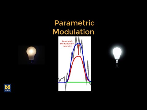 Parametric Modulation in fMRI