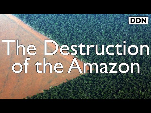 The Destruction of the Amazon Rainforest | George Monbiot