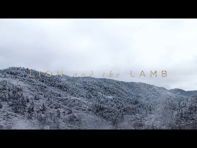 Lion And The Lamb (Official Lyric Video) - Leeland | Have It All