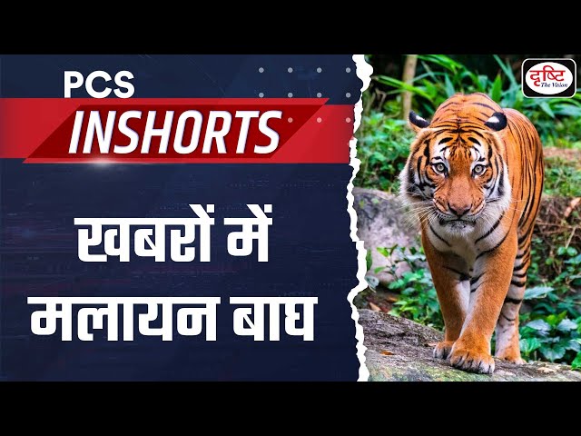 Malayan Tiger | PCS In shorts | Drishti PCS