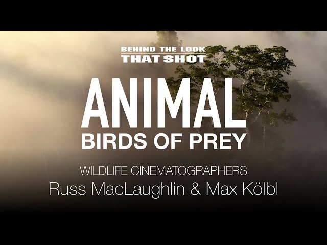 BEHIND THE LOOK | BIRDS OF PREY | Russ MacLaughlin and Max Kölbl